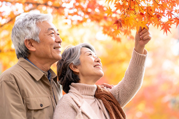 多焦点眼内レンズのご案内